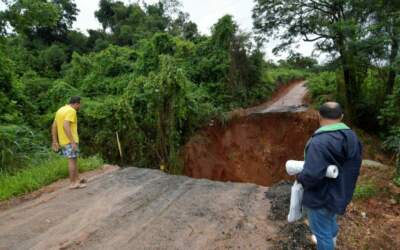 Chuvas provocam perdas de 119 mil hectares de lavouras de Minas