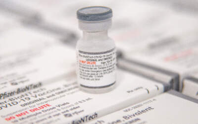 Doses atualizadas da vacina contra Covid-19 chegam nesta semana