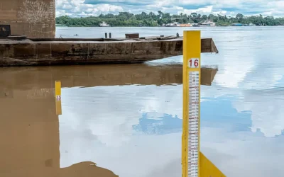 Amazonas pode ter seca mais severa em 2024
