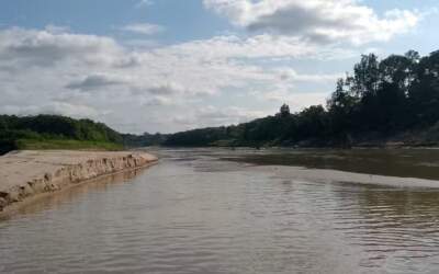 Amazonas pode ser pior seca da histórias; rios já estão baixando