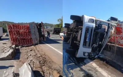 Caminhão com galinhas tomba na BR-262 e mata motorista