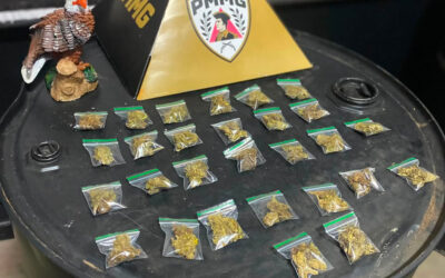Polícia apreende porções de maconha no Bairro Vila Vilaça