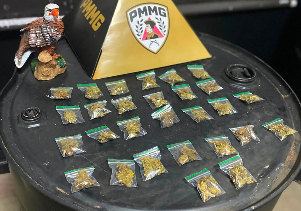 Polícia apreende porções de maconha no Bairro Vila Vilaça