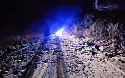 Tronco de árvore na pista provoca acidente com morte e feridos na MG-060