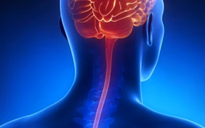Menina morre com suspeita de meningite; exame descarta forma bacteriana