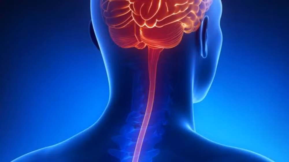 Menina morre com suspeita de meningite; exame descarta forma bacteriana