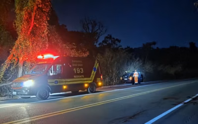 Carro atropela vaca solta na BR-494 e três pessoas ficam feridas