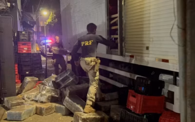 Policias apreendem mais de 3 toneladas de maconha na BR-262