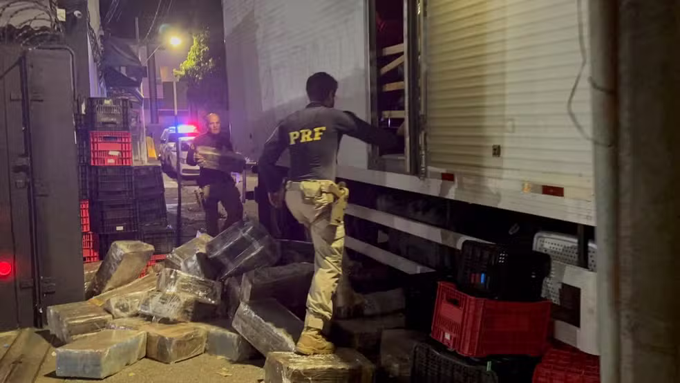 Policias apreendem mais de 3 toneladas de maconha na BR-262